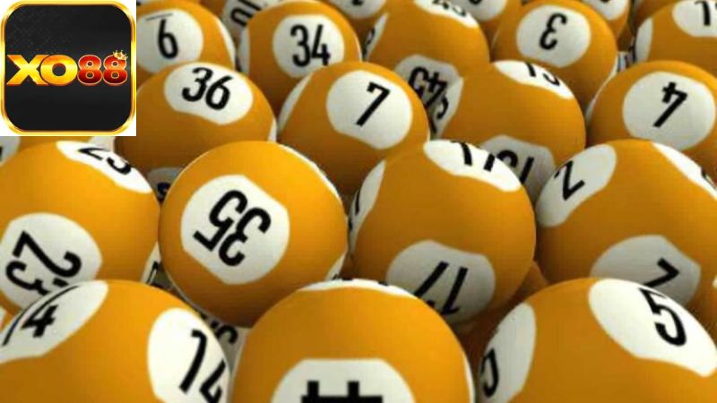 Tâm Lý Người Chơi và Tính Chất Ngẫu Nhiên