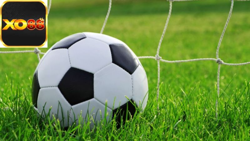 Kèo Tài Xỉu Là Gì? Những Điều Cần Biết