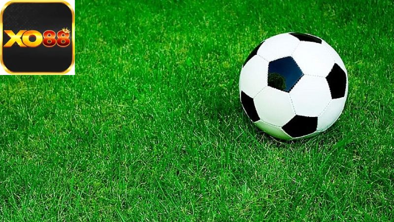 Cách cược tài xỉu hiệu quả