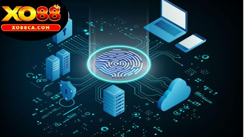 Giới Thiệu Về Chính Sách Bảo Mật Của XO88