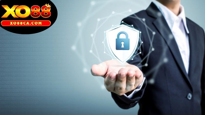 Cập Nhật Thông Tin Và Minh Bạch Trong Chính Sách