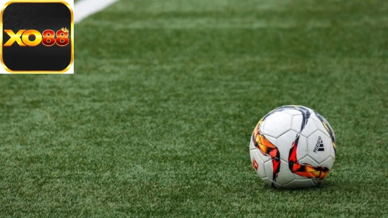 Kèo chấp 2.5 là gì và cách hiểu cơ bản