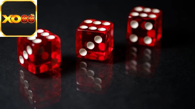 Hiểu rõ về kèo tài xỉu và các loại kèo phổ biến