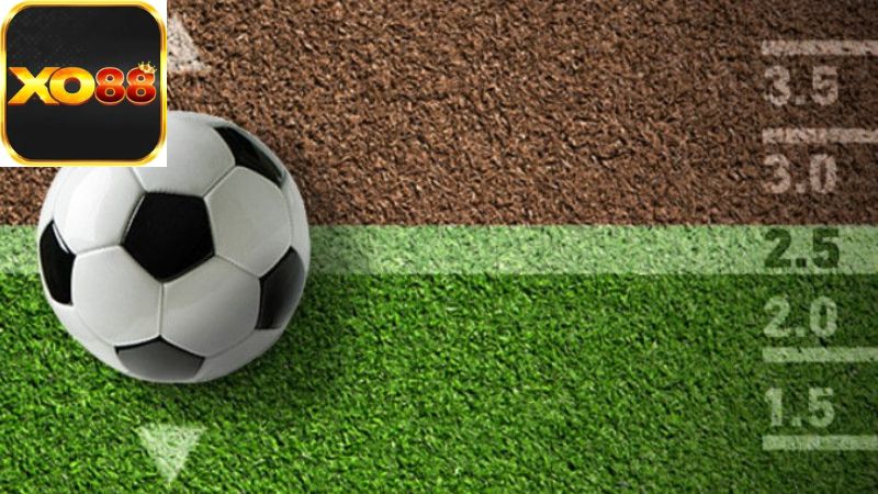 Giới thiệu về Soi Kèo Tài Xỉu