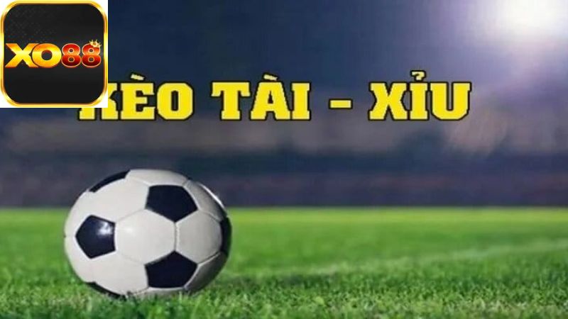Cách Chơi Soi Kèo Tài Xỉu