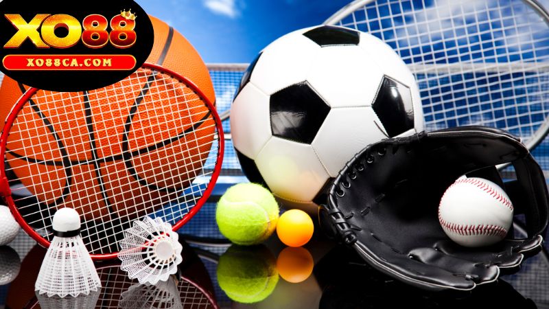 Các Loại Hình Thể Thao XO88