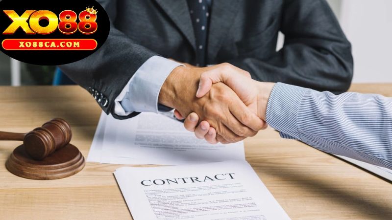 Chính Sách & Cam Kết